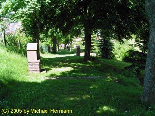 Rieneck Bild 4